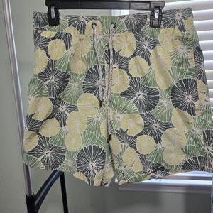Island Haze swim trunks
